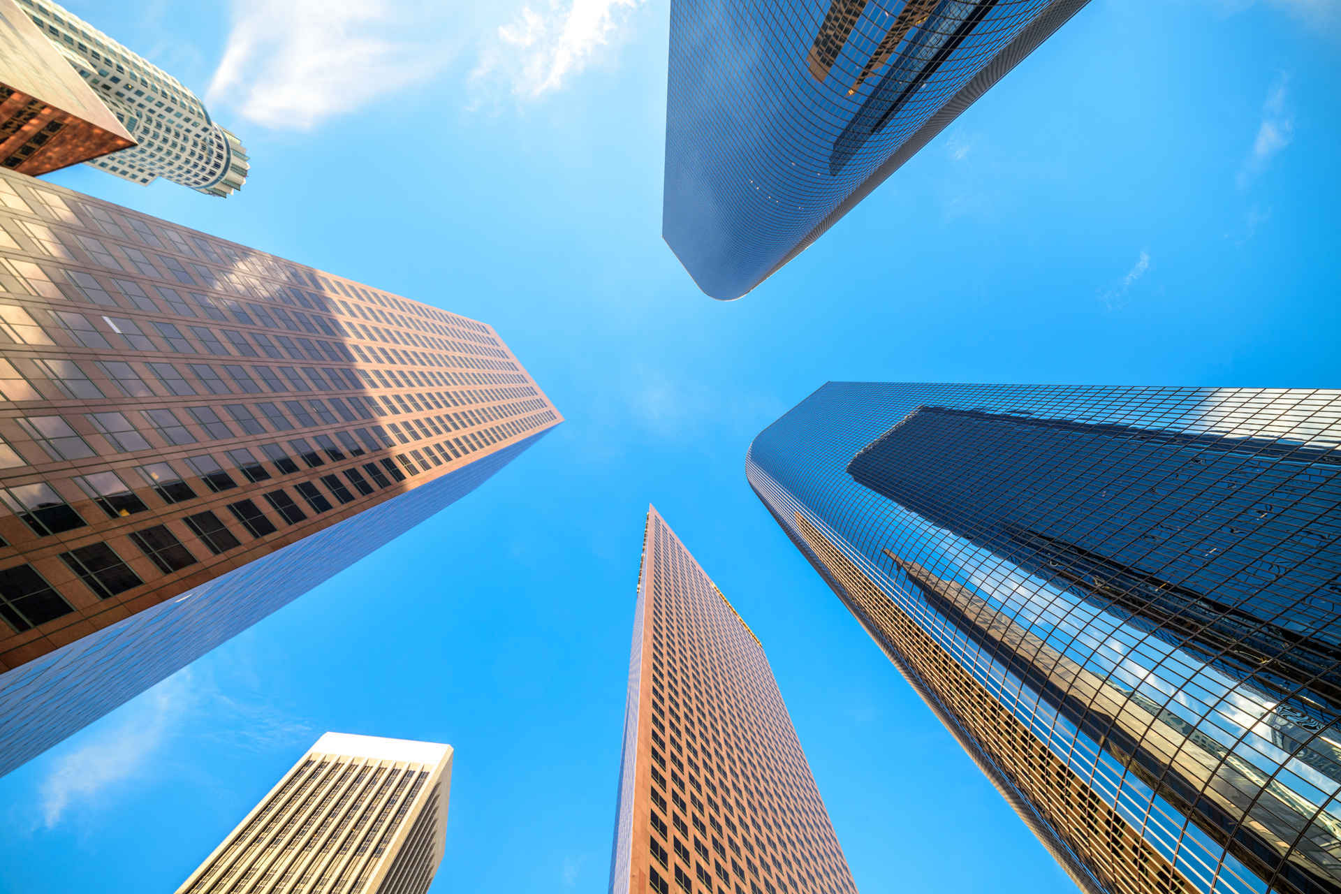 Alliance Firms