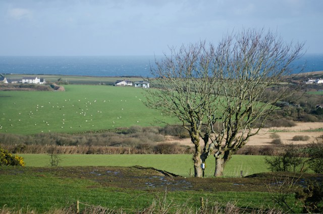 fields