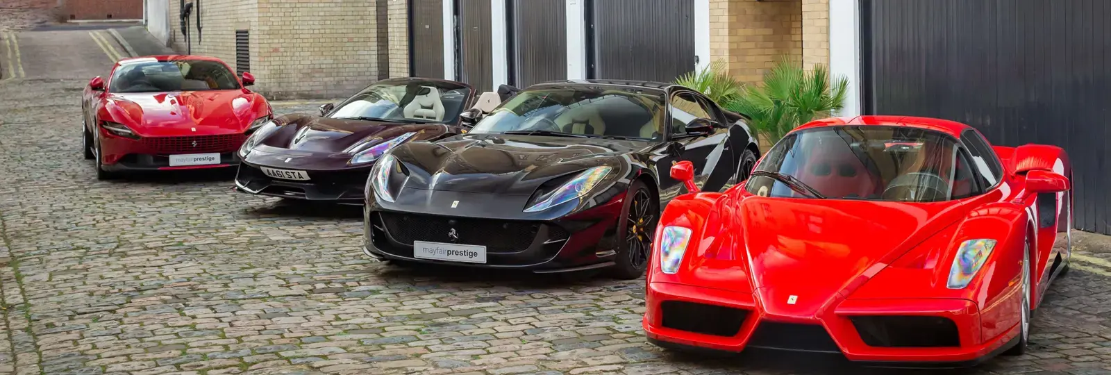 Enzo 121 2