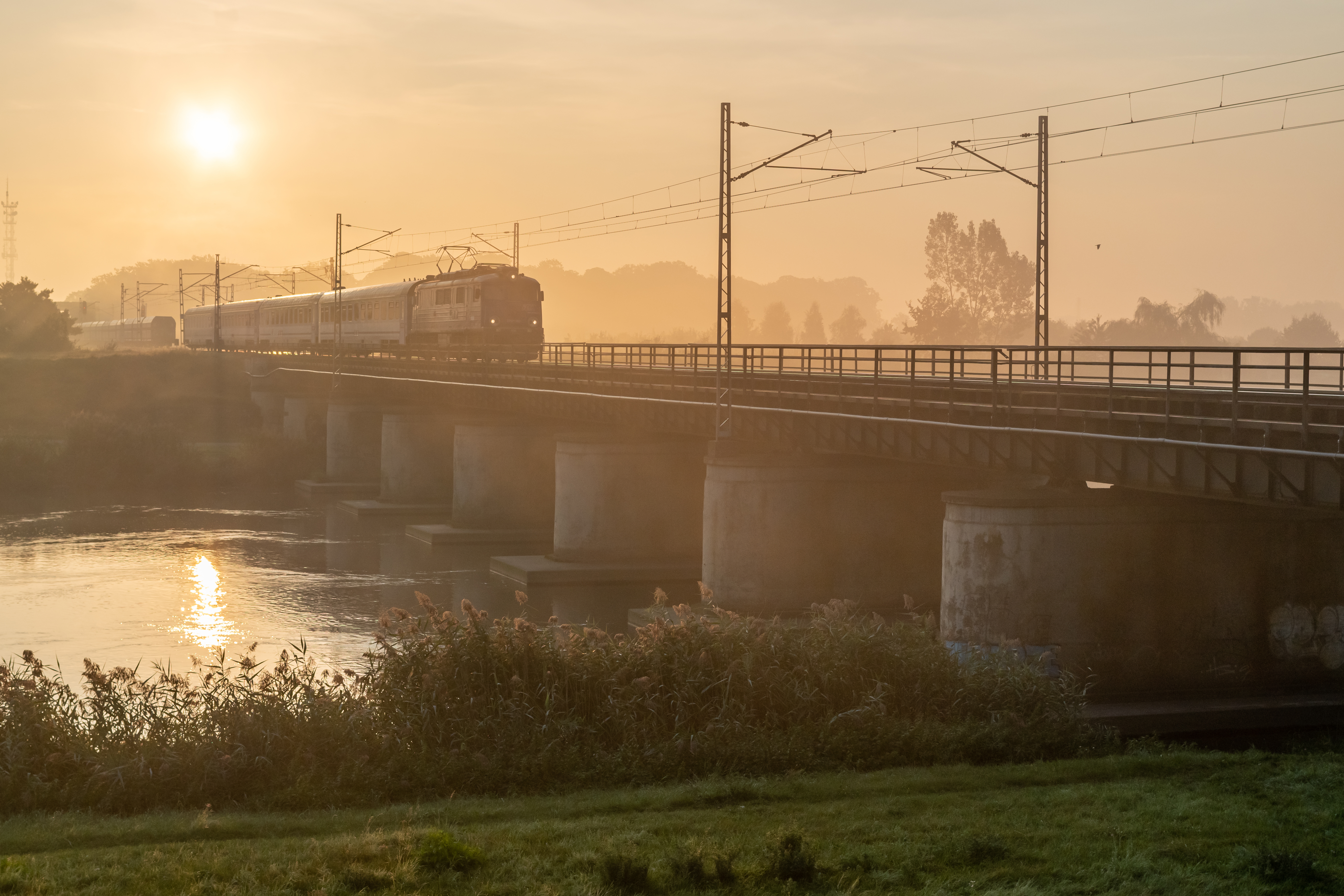 Beautiful Shot Train Passing Bridge Sunny Day