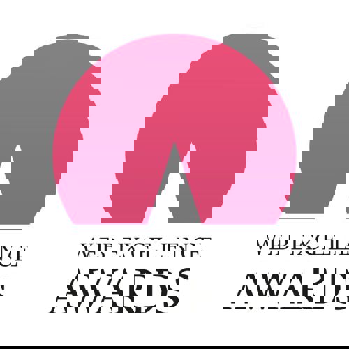 Web Excellence Award